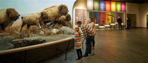 Plan Your Visit - Winnipeg Museum Tours / Travel - Manitoba Museum