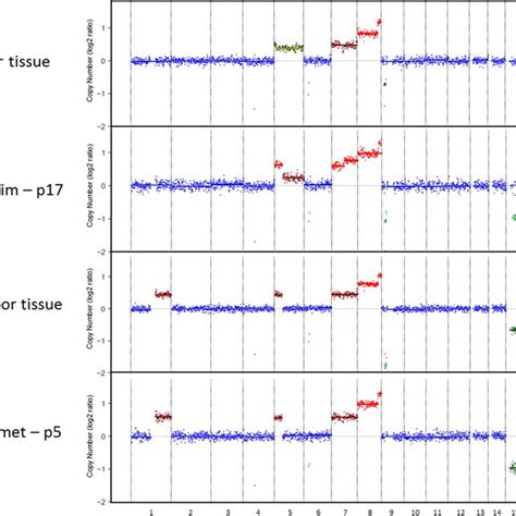 Copy Number Profiles Of MUG Lucifer Cell Lines Genome Wide Log2 Ratios