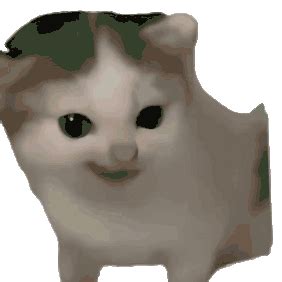 cat meme sticker cat meme descubre  comparte gif
