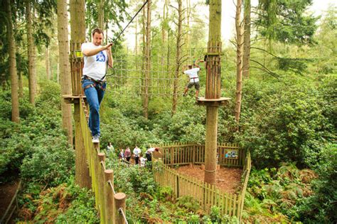 Review Of Go Ape In Thetford Forest — Yours