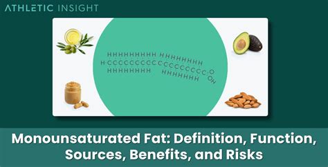 Monounsaturated Fat Foods