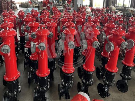 China Swing Check Valve Components Manufacturers Suppliers Wholesale Price Forede