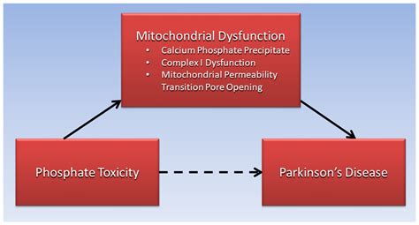 IJMS Free Full Text Parkinsons Disease Etiology Insights And