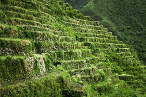 Batad Rice Terraces