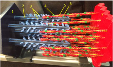 Myofilament Structure on Sarcomere Model Flashcards | Quizlet