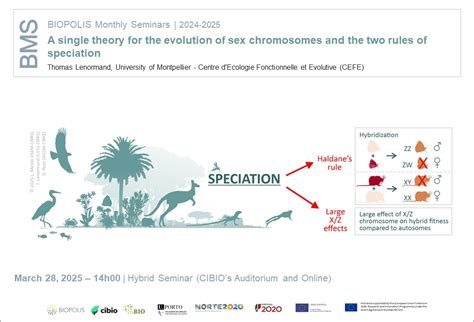 A Single Theory For The Evolution Of Sex Chromosomes And The Two Rules Of Speciation News