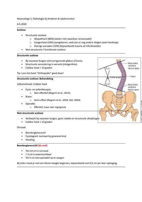 Hoorcollege Pathologie Bij Kinderen Adolescenten Hoorcollege