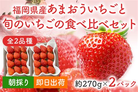 あまおうと旬のいちごの食べ比べセット 約270g×2パック Bo002｜ふるラボ