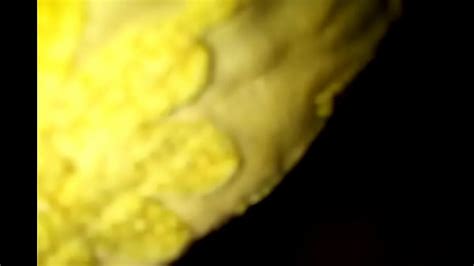 Indian Hairy Pussy Search XVIDEOS