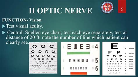 Cranial Nerve Examination | PPT