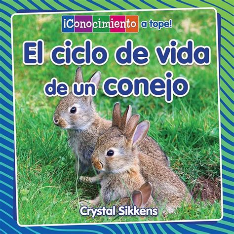 Comprensión Del Ciclo De Vida De Los Conejos Roedores Domésticos