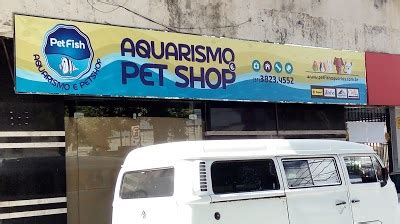 Pet Fish Aquarismo E Pet Shop Em Ipatinga Mg Latemia Net Br