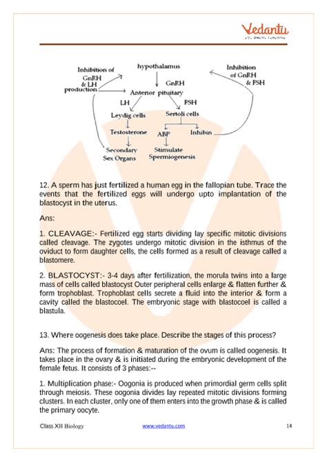 Reproduction In Flowering Plants Worksheet Best Flower Site