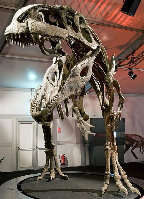 https://en.wikipedia.org/wiki/Giganotosaurus | Prehistoric animals ...