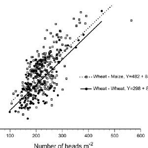 Wheat Grain Yield Variations At N Rates In Rotation With Maize And