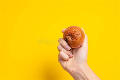 Una Mano Hembra Sostiene Una Manzana Podrida Con Un Gusano Sobre Un