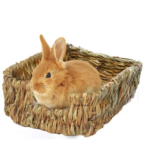 Safe Toys for Bunnies to Play with. My 7 Best Rabbit Chew Toys Checklist.