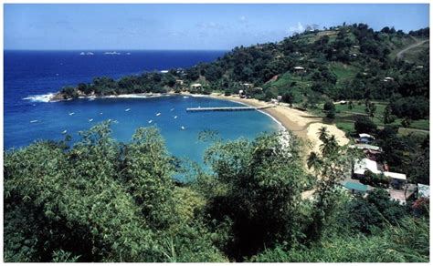 9Y4W - Tobago Island - CQ WW DX CW Contest 2009