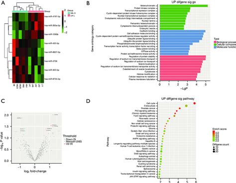 Different Pde Exosomal Mirna Profiles A Heatmap Describing