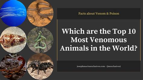 10 Most Venomous Animals