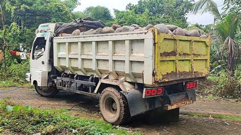 Isuzu Dump Truck Bongkar Muatan Full Bak Batu Kali Dump Truk Youtube