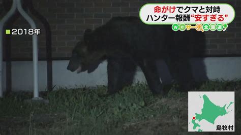 第二のoso18出現か 命がけでクマと対峙 ハンター報酬“安すぎ” 自治体と衝突も 北海道（2024年5月28日掲載）｜stv News Nnn