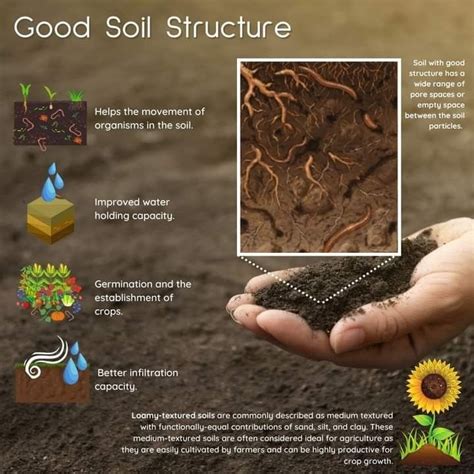 Pin on Soil | Biodynamic gardening, Soil, Soil improvement