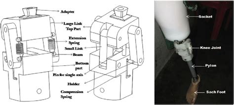 Newly Developed Passive Polycentric Knee Joint Download Scientific Diagram