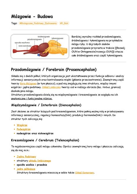 Mózgowie Budowa Streszczenie Biologiczne podstawy psychologii