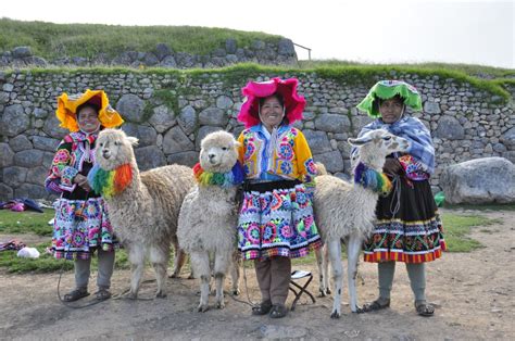 Fotos Gratis Arquitectura Granja Agricultura Turismo Per Alpaca