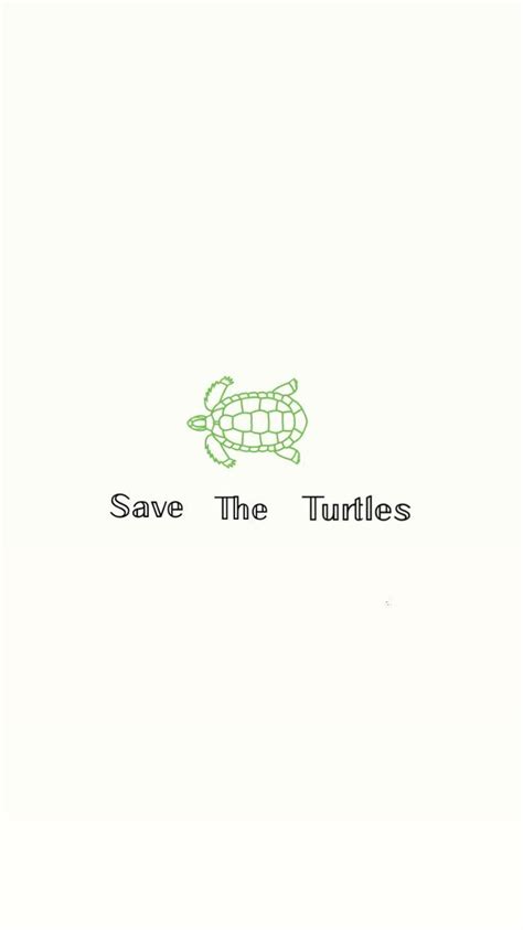 Aesthetic Turtles Wallpapers Wallpaper Cave