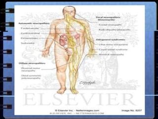 Diagnosa Dan Manajemen Neuropati Diabetes Ppt