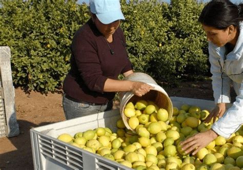 Ventas externas de México a Estados Unidos crecen 103 en abril