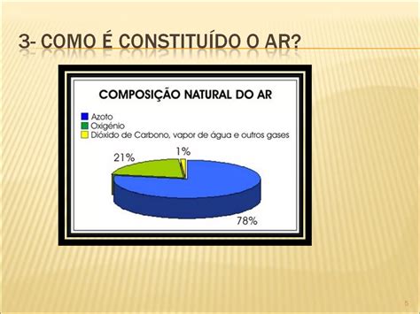 A Importancia Do Ar Para Os Seres Vivos