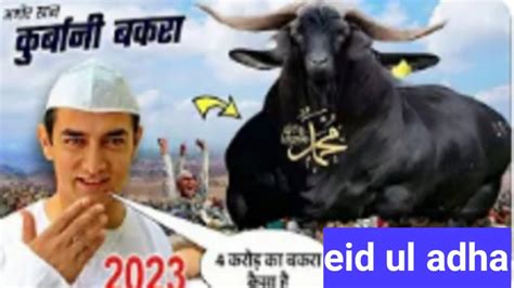 Salman Khan Ka Bakra Amir Khan Ka 4 Coror Ka Bakra 2023 Qurbani Ka