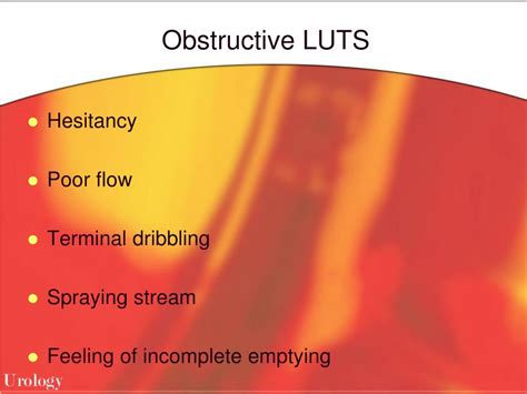 Ppt Lower Urinary Tract Symptoms Luts And Management Of Benign