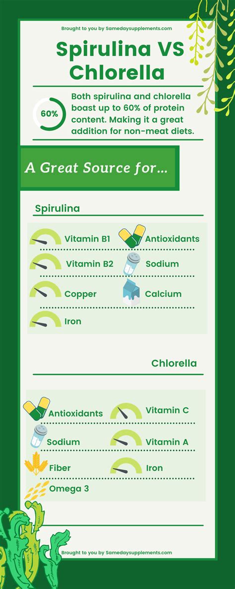 Spirulina VS Chlorella Do You Need Superfoods In 2021