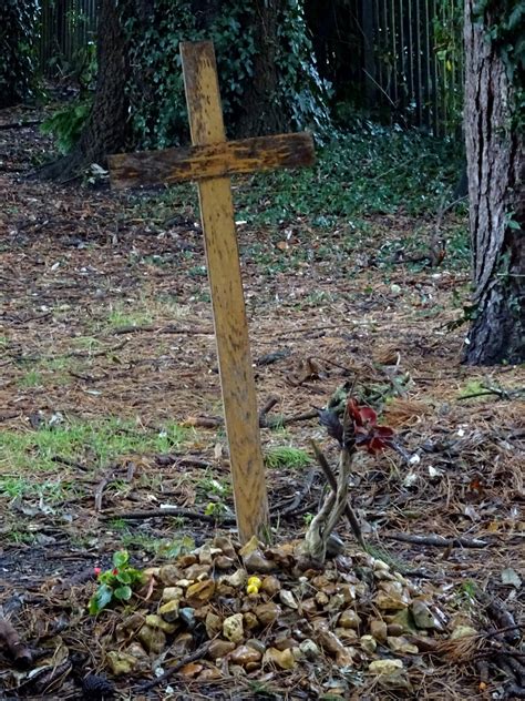 Wooden Cross On Cemetery Grave Free Stock Photo Public Domain Pictures