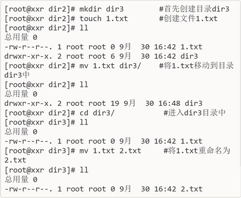 Linux常见命令