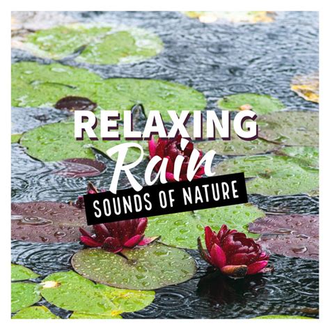 Relaxing Rain Sounds Of Nature Album By Sounds Of Nature