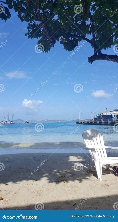 St. John, USVI Trunk Bay Underwater Snorkel Trail Editorial Image ...