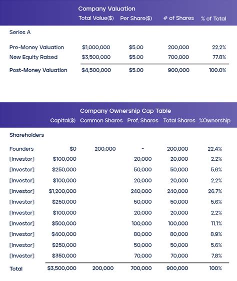 Capitalization Table Sample Cabinets Matttroy