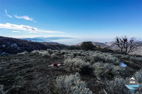 Hiking In The Tehachapi Mountains From Stallion Springs - Trail to Peak