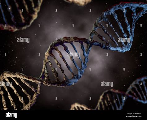 Digital Illustration Of A Dna Model D Rendering Stock Photo Alamy