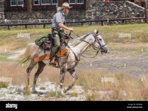 Yellowstone Park ranger riding his horse Stock Photo - Alamy