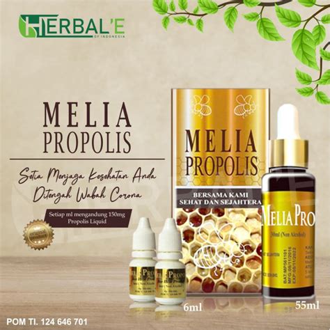 Jual Melia Propolis Sehat Sejahtera 55ml Original Shopee Indonesia