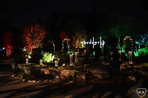 Pasadena Botanical Garden Lights | Fasci Garden