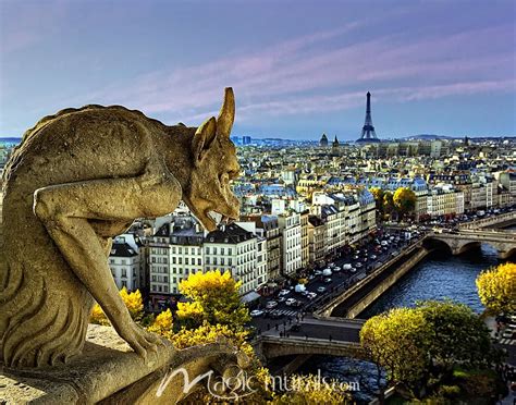 Paris Notre Dame View Wallpaper Mural By Magic Murals