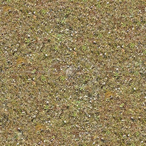 Dry Grass Texture Seamless