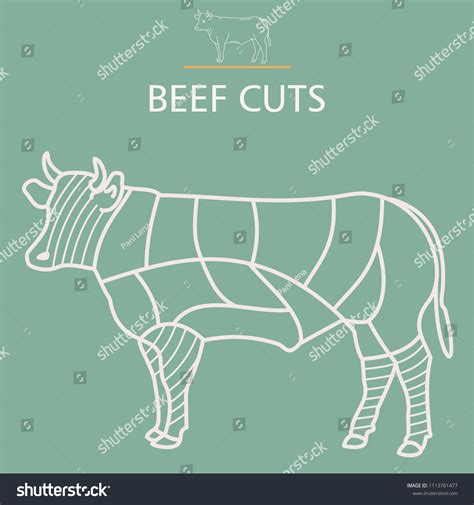 Butchers Diagram Beef Cuts Stock Vector (Royalty Free) 1113761477 ...